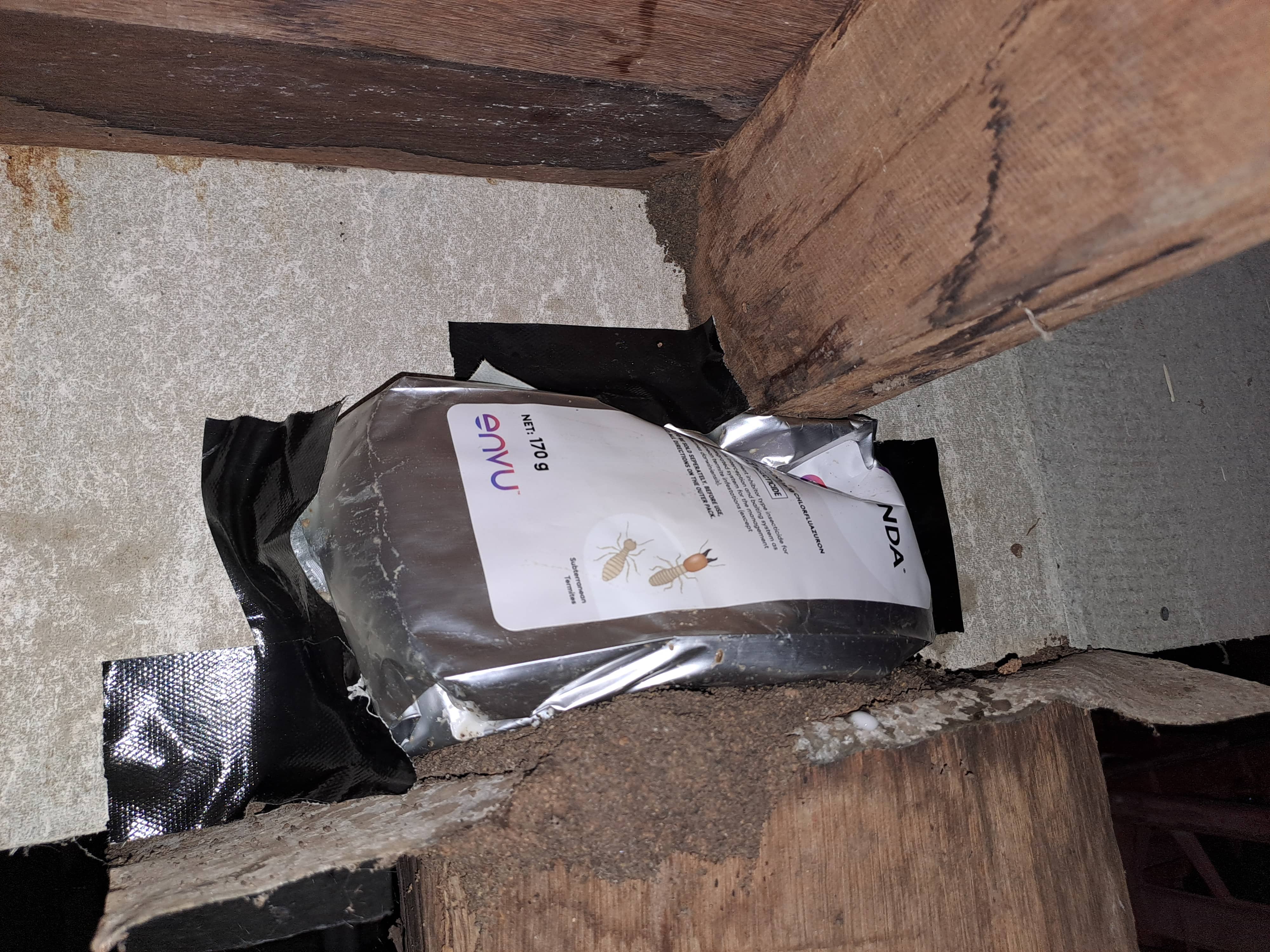 Termite Activity Successfully Baited